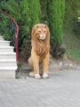thumbnails/023-6ter_Spaziergang_0023.jpg.small.jpeg