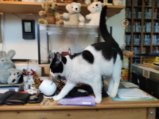 thumbnails/003-Mimi_20201006_173044.jpg.small.jpeg