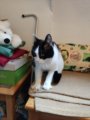 thumbnails/005-Mimi_20201006_173349.jpg.small.jpeg