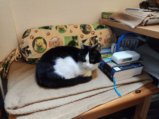 thumbnails/007-Mimi_20201006_173448.jpg.small.jpeg