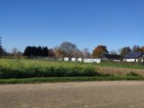 thumbnails/005-DVT_20201118_140447.jpg.small.jpeg