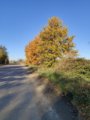 thumbnails/007-DVT_20201118_141028.jpg.small.jpeg