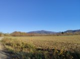 thumbnails/009-DVT_20201118_141643.jpg.small.jpeg