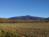 thumbnails/010-DVT_20201118_141656.jpg.small.jpeg