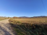 thumbnails/011-DVT_20201118_141711.jpg.small.jpeg