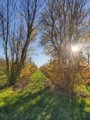 thumbnails/016-DVT_20201118_144447.jpg.small.jpeg