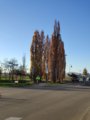 thumbnails/024-DVT_20201118_151345.jpg.small.jpeg