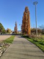 thumbnails/025-DVT_20201118_151636.jpg.small.jpeg
