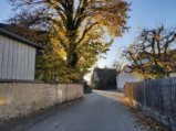 thumbnails/026-DVT_20201118_153343.jpg.small.jpeg