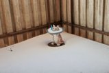 thumbnails/003-04_Balkonkatze.jpg.small.jpeg