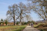 thumbnails/005-Voerstetten-Tour-P1000024_ji_Final.jpg.small.jpeg