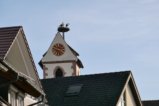 thumbnails/020-Voerstetten-Tour-P1000047_ji_Final.jpg.small.jpeg
