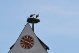 thumbnails/021-Voerstetten-Tour-P1000048_ji_Final.jpg.small.jpeg