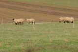 thumbnails/027-Voerstetten-Tour-P1000040_ji_Final.jpg.small.jpeg