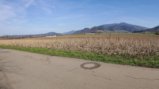 thumbnails/028-Voerstetten-Tour-P1000027_ji_Final.jpg.small.jpeg