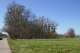 thumbnails/016-Mooswald-Voerstetten-Tour-FIN-17_ji.jpg.small.jpeg