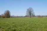 thumbnails/017-Mooswald-Voerstetten-Tour-FIN-18_ji.jpg.small.jpeg