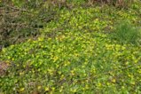 thumbnails/019-Mooswald-Voerstetten-Tour-FIN-20_ji.jpg.small.jpeg
