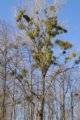 thumbnails/021-Mooswald-Voerstetten-Tour-FIN-22_ji.jpg.small.jpeg