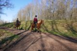 thumbnails/027-Mooswald-Voerstetten-Tour-FIN-28_ji.jpg.small.jpeg