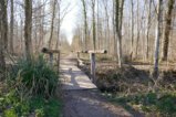 thumbnails/028-Mooswald-Voerstetten-Tour-FIN-29_ji.jpg.small.jpeg
