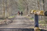 thumbnails/029-Mooswald-Voerstetten-Tour-FIN-30_ji.jpg.small.jpeg