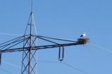 thumbnails/039-Mooswald-Voerstetten-Tour-FIN-40_ji.jpg.small.jpeg