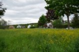 thumbnails/003-Heuweiler-Wildttal-FIN-002_ji.jpg.small.jpeg