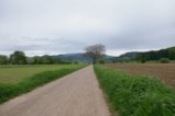 thumbnails/004-Heuweiler-Wildttal-FIN-005_ji.jpg.small.jpeg