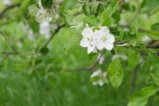 thumbnails/007-Heuweiler-Wildttal-FIN-008_ji.jpg.small.jpeg
