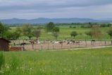 thumbnails/020-Heuweiler-Wildttal-FIN-031_ji.jpg.small.jpeg