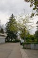thumbnails/040-Heuweiler-Wildttal-FIN-053_ji.jpg.small.jpeg