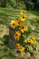 thumbnails/006-Botgart-FR-FIN-012_ji.jpg.small.jpeg