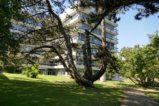 thumbnails/008-Botgart-FR-FIN-016_ji.jpg.small.jpeg