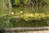 thumbnails/010-Botgart-FR-FIN-020_ji.jpg.small.jpeg