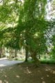 thumbnails/011-Botgart-FR-FIN-021_ji.jpg.small.jpeg
