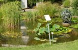 thumbnails/013-Botgart-FR-FIN-023_ji.jpg.small.jpeg