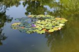 thumbnails/014-Botgart-FR-FIN-024_ji.jpg.small.jpeg