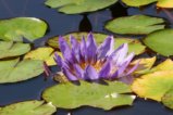 thumbnails/015-Botgart-FR-FIN-026_ji.jpg.small.jpeg