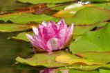 thumbnails/016-Botgart-FR-FIN-029_ji.jpg.small.jpeg