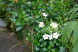thumbnails/022-Botgart-FR-FIN-038_ji.jpg.small.jpeg