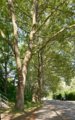 thumbnails/025-Botgart-FR-FIN-041_ji.jpg.small.jpeg
