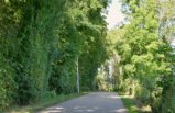 thumbnails/038-Botgart-FR-FIN-058_ji.jpg.small.jpeg