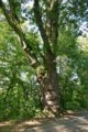 thumbnails/040-Botgart-FR-FIN-060_ji.jpg.small.jpeg