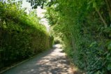thumbnails/042-Botgart-FR-FIN-062_ji.jpg.small.jpeg