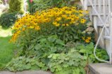 thumbnails/046-Botgart-FR-FIN-067_ji.jpg.small.jpeg