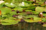 thumbnails/055-Botgart-FR-FIN-027_ji.jpg.small.jpeg