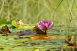 thumbnails/056-Botgart-FR-FIN-028_ji.jpg.small.jpeg