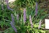 thumbnails/058-Botgart-FR-FIN-032_ji.jpg.small.jpeg