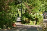 thumbnails/059-Botgart-FR-FIN-036_ji.jpg.small.jpeg